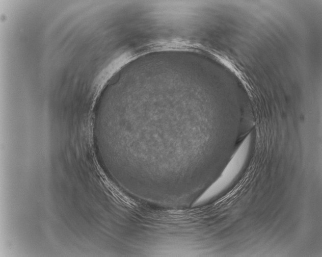 X0000059041463200510171836