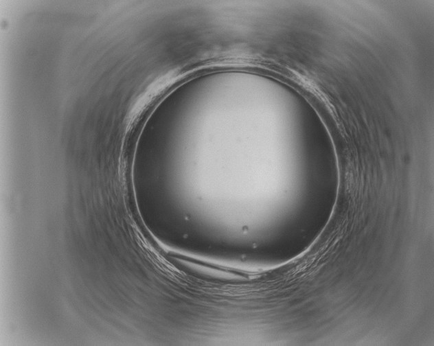 X0000059041464200510171836