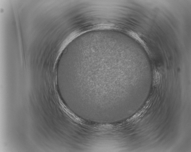 X0000059041467200510171836