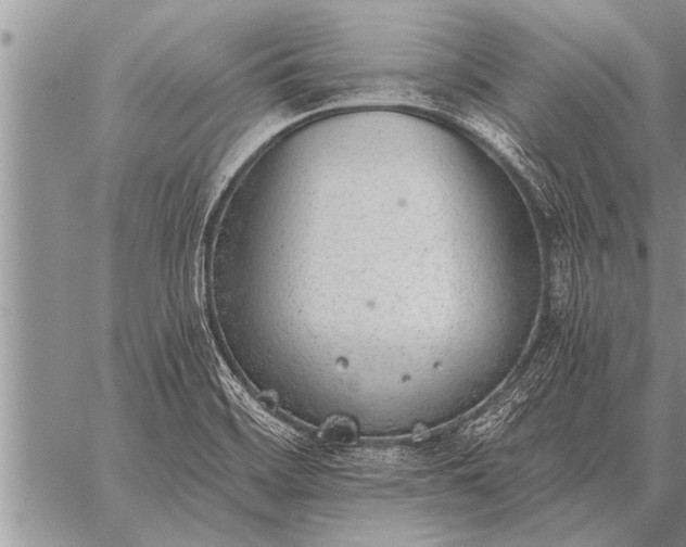 X0000059041468200510171836