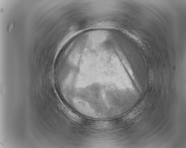 X0000059041470200510171836