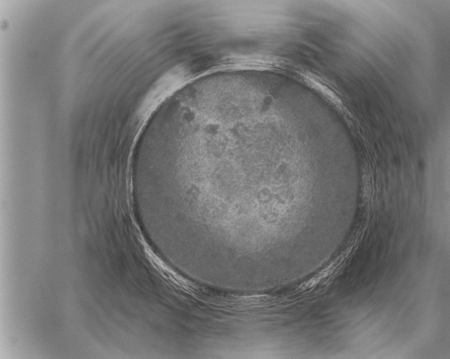 X0000059041471200510171836