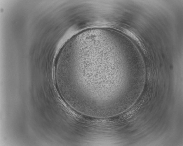 X0000059041472200510171836