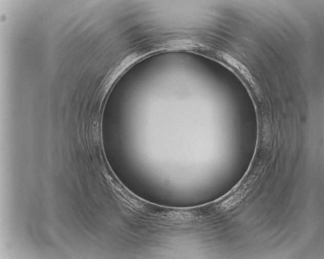 X0000059041473200510171836