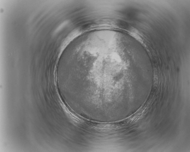 X0000059041474200510171836