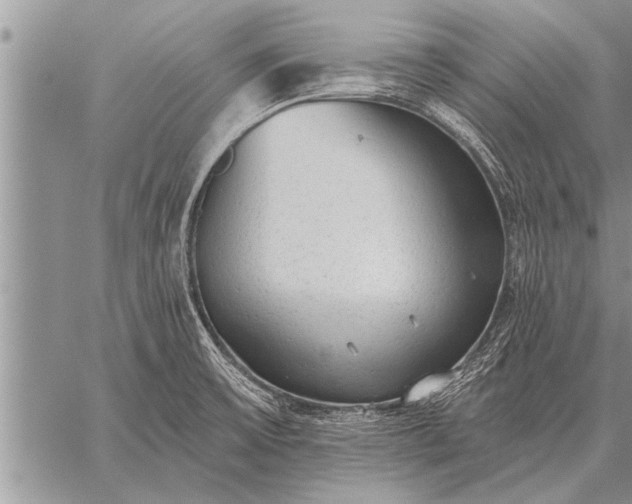 X0000059041475200510171836