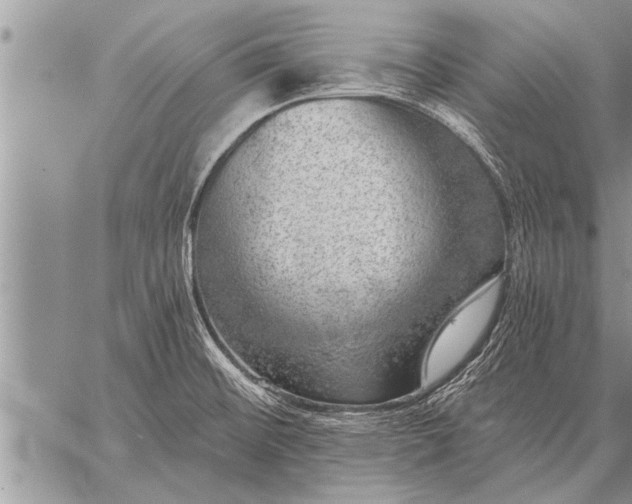 X0000059041476200510171836