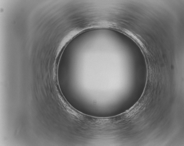 X0000059041477200510171836