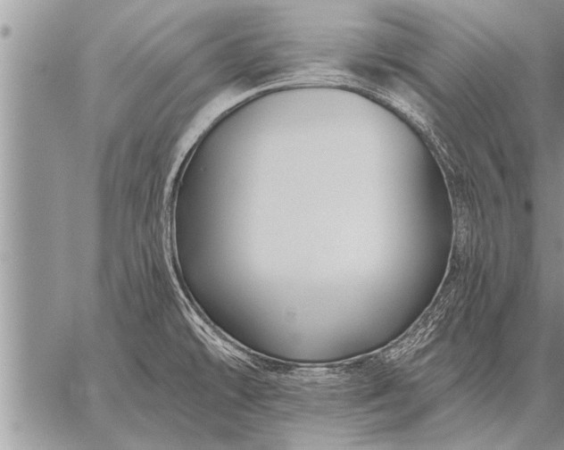 X0000059041478200510171836