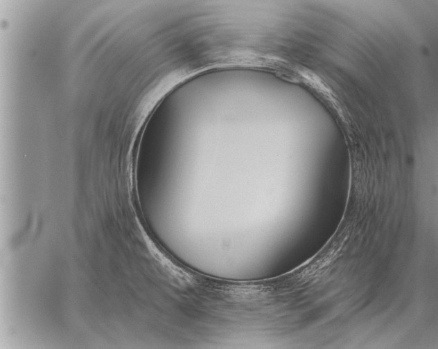 X0000059041479200510171836