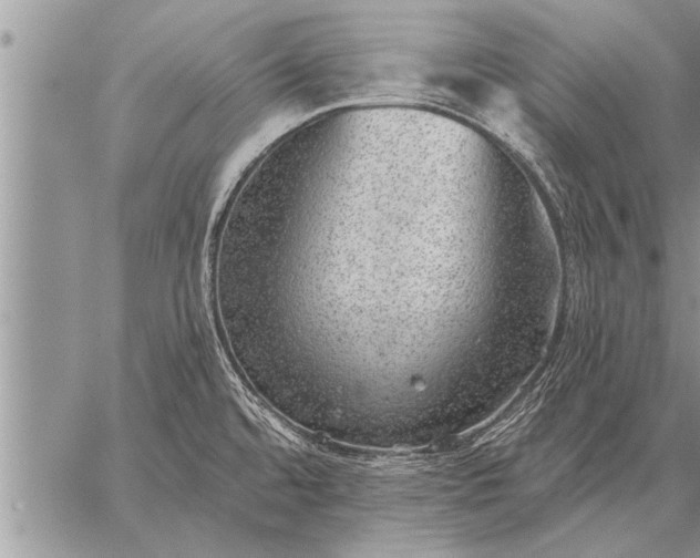 X0000059041480200510171836