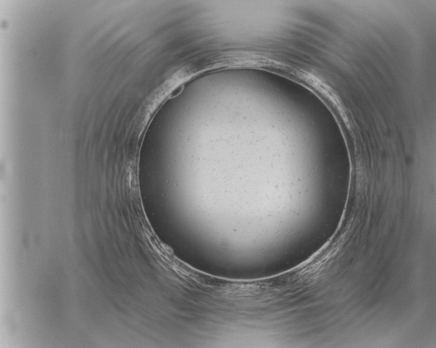 X0000059041481200510171836