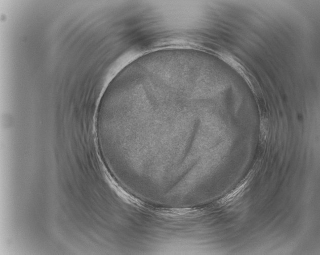 X0000059041482200510171836