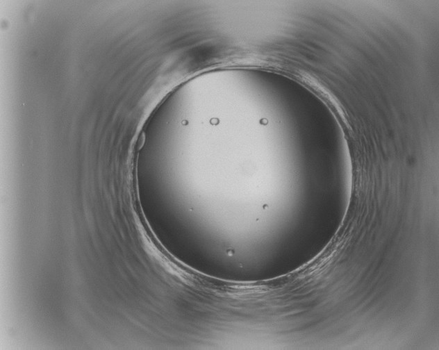 X0000059041483200510171836