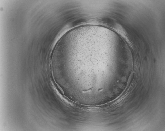 X0000059041484200510171836