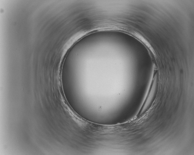 X0000059041485200510171836