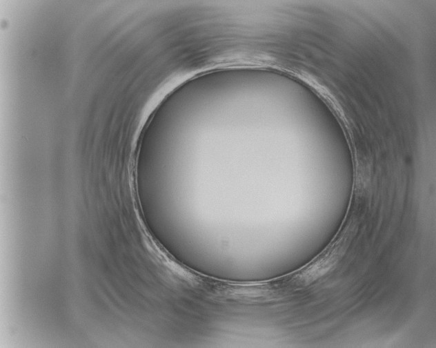 X0000059041486200510171836