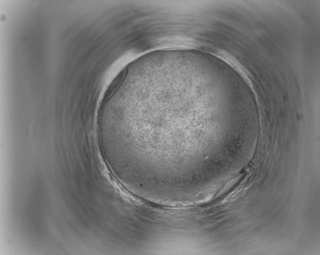 X0000059041488200510171836