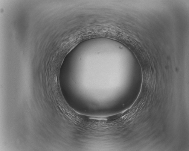 X0000059041489200510171835