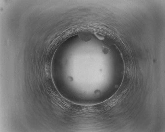 X0000059041490200510171835