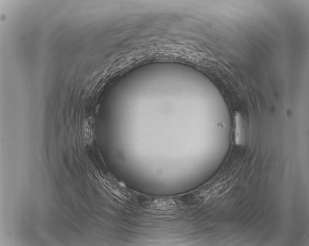 X0000059041491200510171835