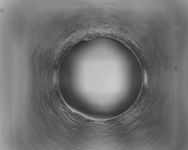 X0000059041492200510171835