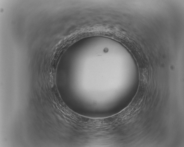 X0000059041493200510171835