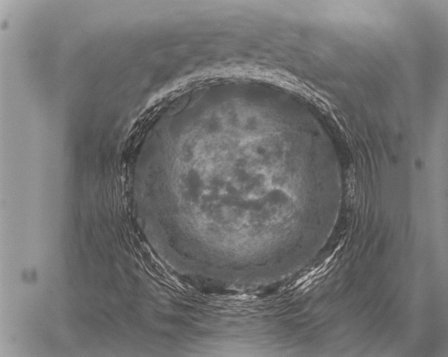 X0000059041494200510171835