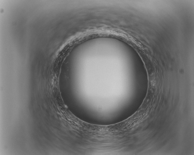 X0000059041495200510171835