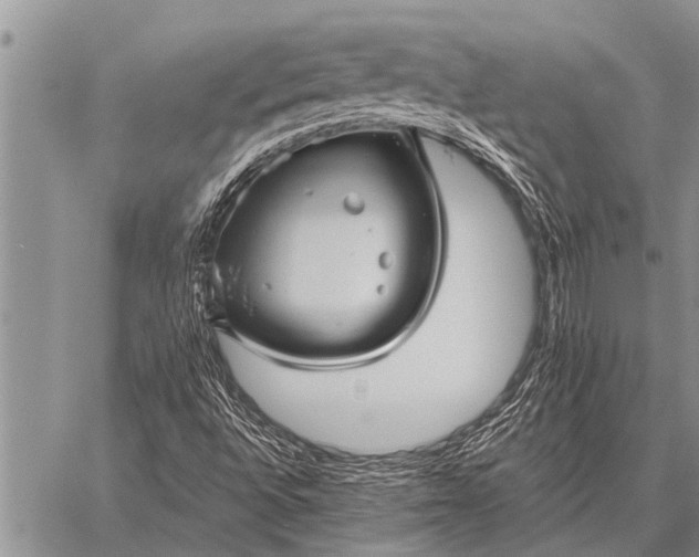 X0000059041496200510171835