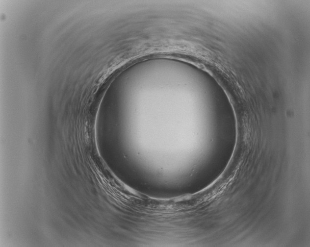 X0000059041497200510171835