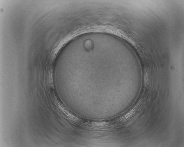 X0000059041498200510171835