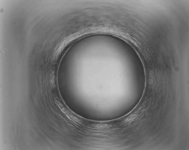 X0000059041499200510171835