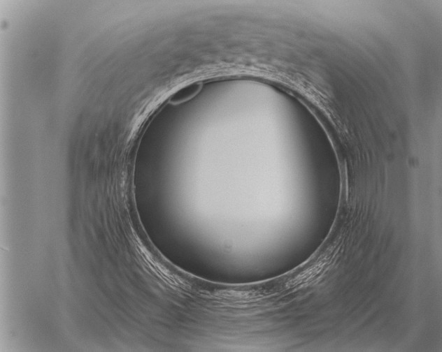 X0000059041500200510171835