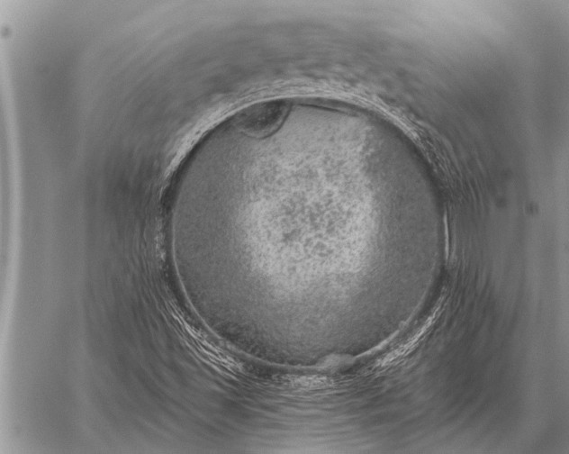 X0000059041501200510171835