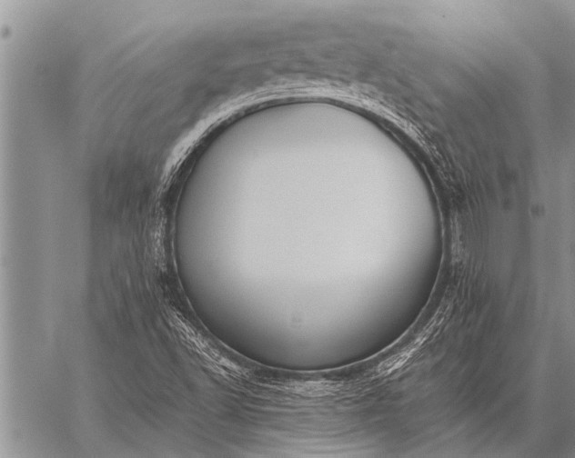 X0000059041502200510171835