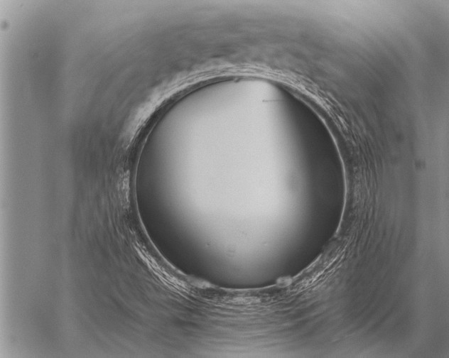 X0000059041503200510171835