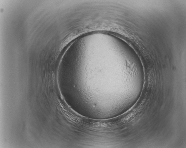 X0000059041505200510171835