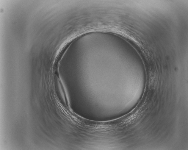 X0000059041506200510171835