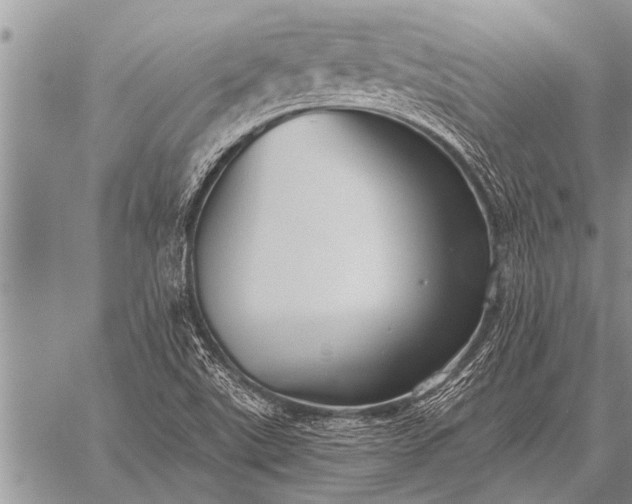 X0000059041507200510171835