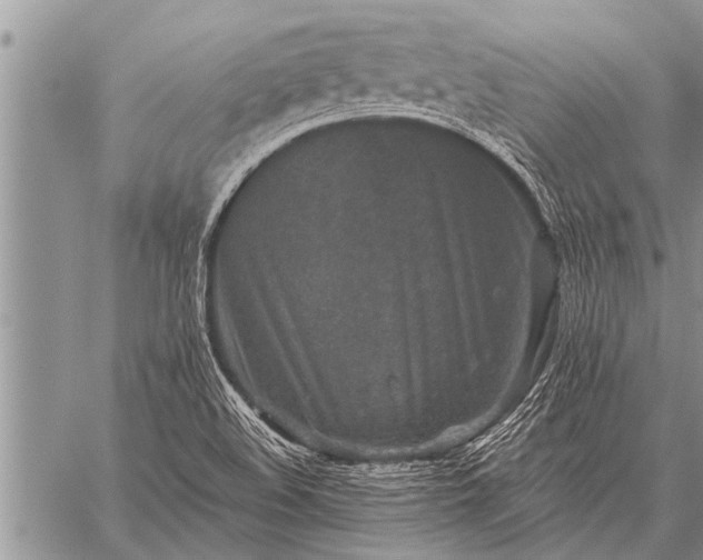 X0000059041508200510171835