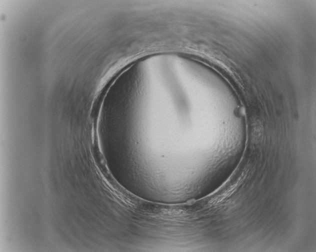 X0000059041509200510171835