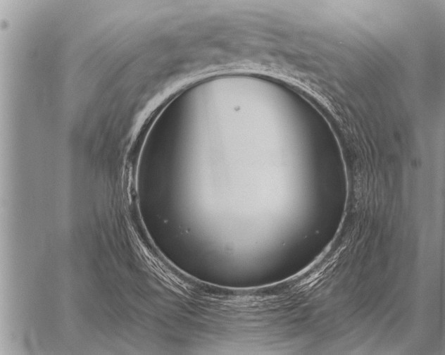 X0000059041510200510171835