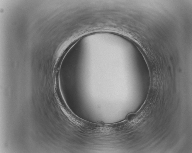 X0000059041511200510171835