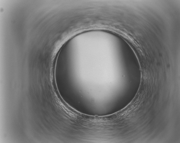 X0000059041512200510171835