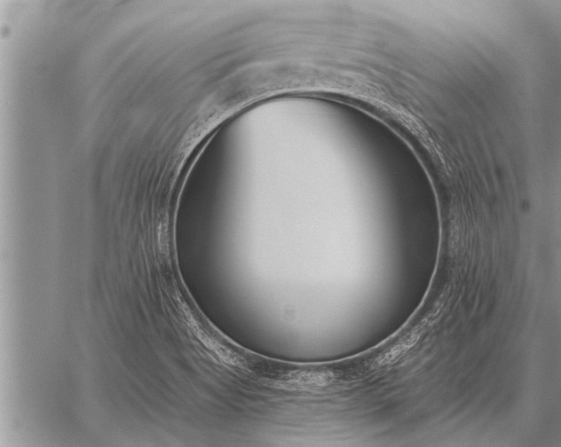 X0000059041513200510171835