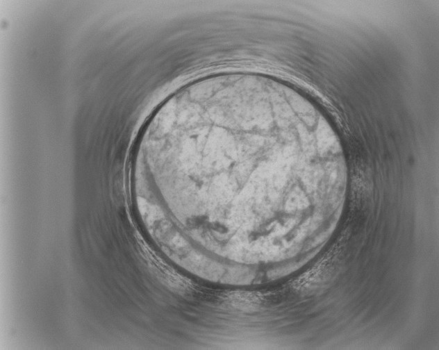 X0000059041514200510171835