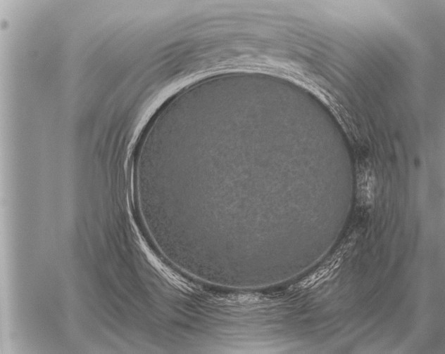 X0000059041515200510171835