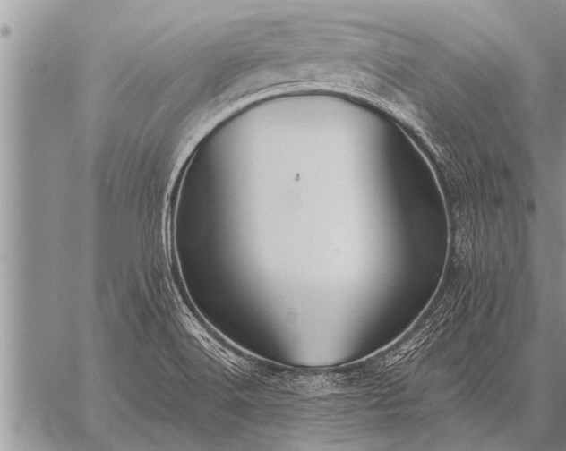 X0000059041516200510171835