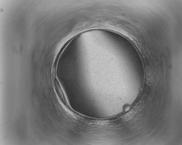 X0000059041519200510171836